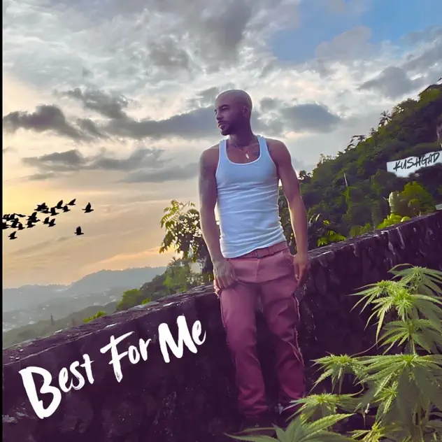 Best for Me artwork