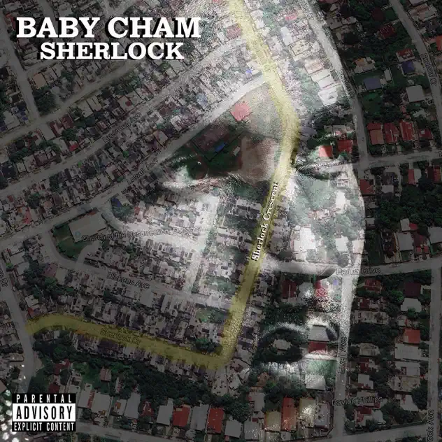 Maddest Life artwork